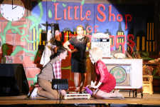 Little Shop of Horrors 6